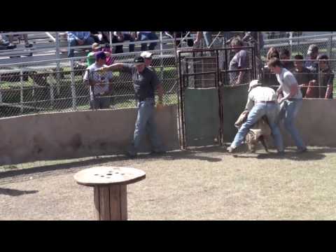 2010 Sabinal Wild Hog Festival Kason & Ben.mov