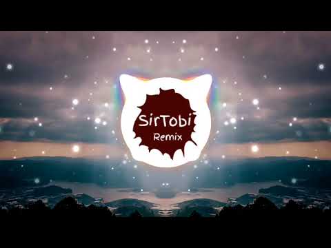 Die Flippers - Lotusblume (SirTobi Remix)