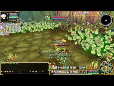 Insanity Flyff E28 - Crackshooter lvl 268 - 300