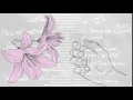 Jarryd James - This Time 