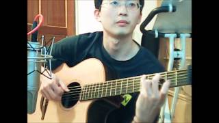 Silent Passenger - Pierre Bensusan (cover)