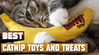 Best Catnip Toys and Treat In 2026 - Top 10 Catnip Toys and 