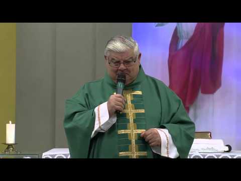 Homilia Santa Missa 29/10/2013 - Pe. Guido / Usar os dons a favor do bem!