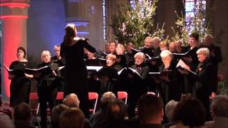 preview picture of video '28 DEC 2014 SCHORE KERSTCONCERT CAMERLINCKXKOOR LIED 06 NUIT DE NOEL HD1080'