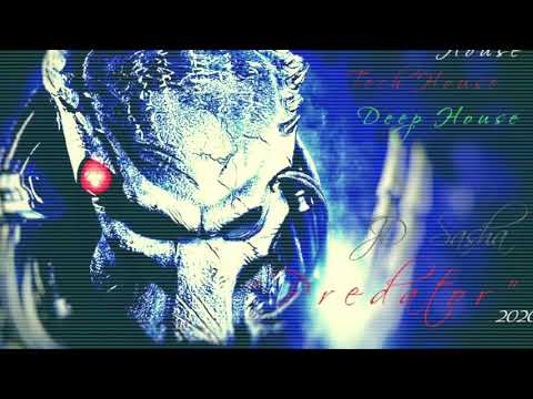 80 JD Sasha   Predator