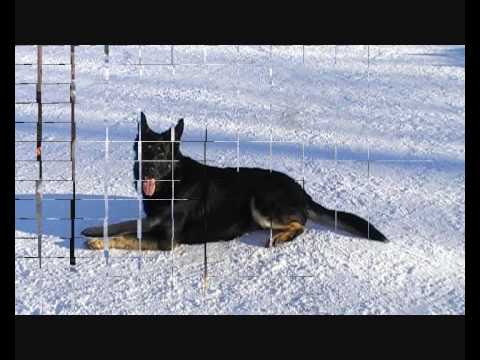 Frigg trening 12 og 12 februar