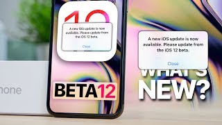 iOS 12 Beta 12! Please Update 😤