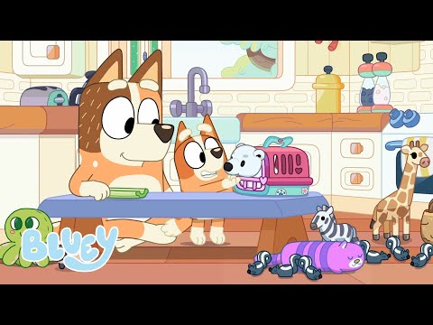 Capa de Momentos Animais com Bluey | Bluey Português Brasil Canal Oficial