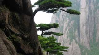 Melody Gardot - Some Lessons