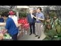 ITALY PUGLIA The Largest Greenhouse In Europe RAI1 UNOMATTINA VERDE 21 10 2013