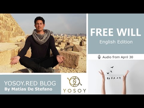 Day 270 - FREE WILL - Matías De Stefano - YOSOY.RED BLOG: Toroid-Physical- Aries, Read by Carey 4/30