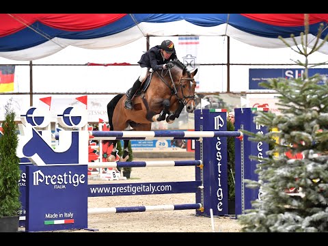 Gerardus Hengstvorführung _ Hengststation Dirk Ahlmann