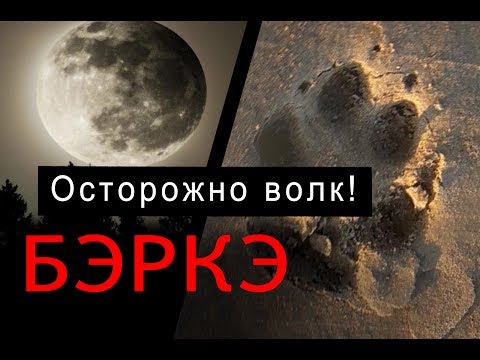 Охота на волка в Якутии. Осторожно волк!