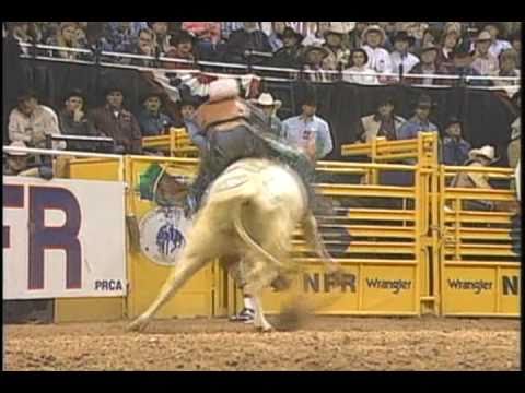 Bucking Bull White Rock