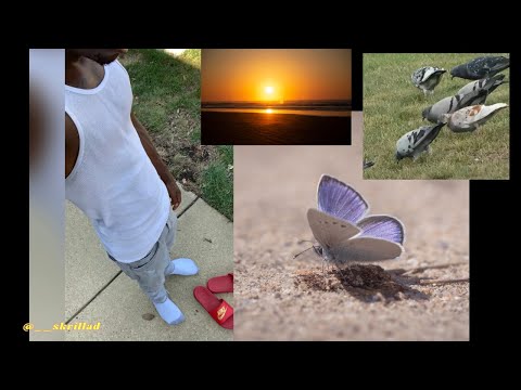 SkrillaD Talks About GROUNDING🍂 . *We get energy from the SUN*☀️