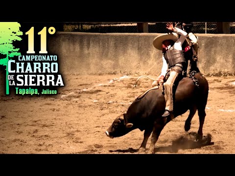 Addicted to Danger - Bull Riding - Adrenaline 100 - 11th Sierra Championship 2024 - Day 16