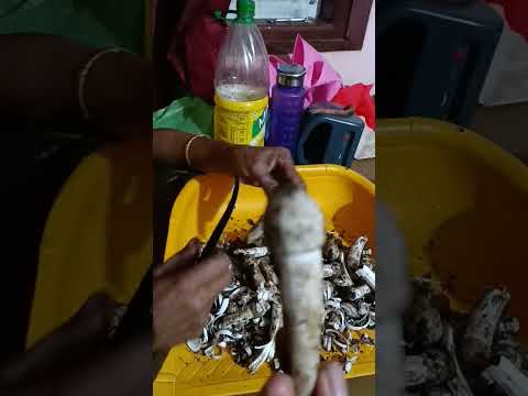 How to Clean & Cut Fresh Mushrooms