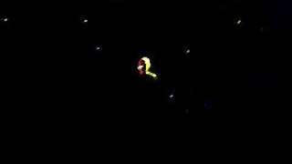 Smashing Pumpkins Live- My blue Heaven