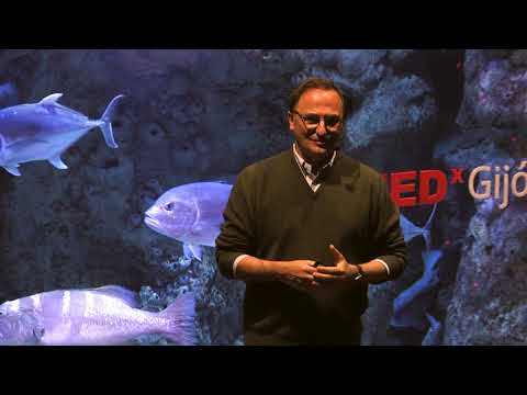 La necesidad de los salvaje | Fernando González Sitges | TEDxGijon