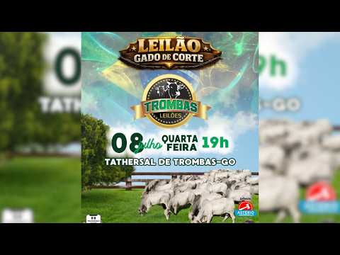 LEILÃO  GADO DE CORTE TROMBAS LEILÕES - TROMBAS GOIAS  - 08 / 07 / 2026