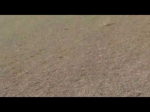 Gol de João na escolinha paz e vida