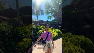 In front of the tree of life at animal kingdom