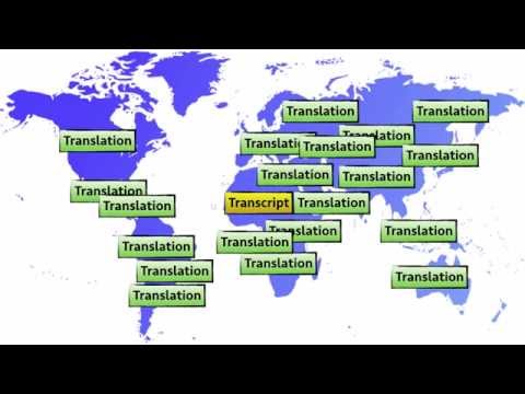 OTP Learning Series 06: How to transcribe