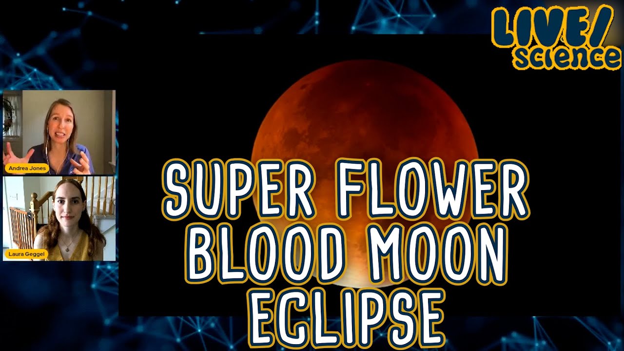 LIVE/science: Super Flower Blood Moon Eclipse