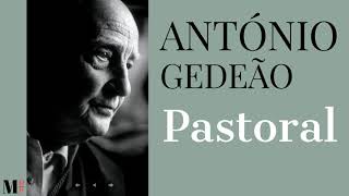 Musik-Video-Miniaturansicht zu Pastoral Songtext von António Gedeão