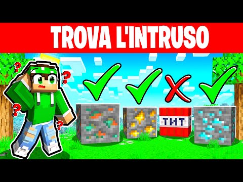 TROVA L'INTRUSO su MINECRAFT!