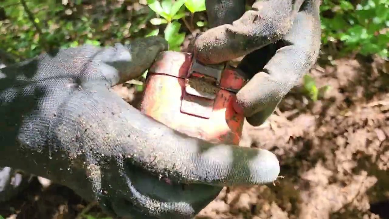 Diamonds found in the BACKYARD