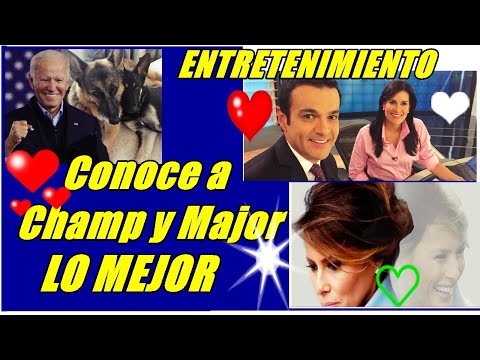 Conoce a Champ y Major, los adorables perros de Joe Biden, RUMORES Vanessa Y Juan diego Alvira ,