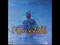 Irresistible J Kenal Video Oficial