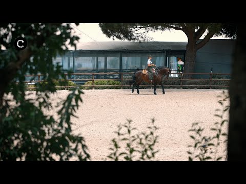 Festival Internacional do Cavalo Lusitano em Cascais