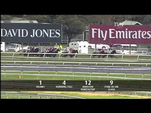 2011 Champagne Stakes- Helmet