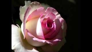 Libera- Biagio Antonacci-♫♥♫♫♥♫Simo♫♥♫♫♥♫