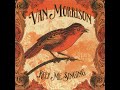 2016 - Van Morrison - Look beyond the hill - Jose Carlos Bernardes 2016 - Van Morrison - Look beyond the hill
