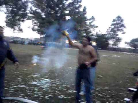 LOS PERROS A 12 PASOS DE LA GLORIA