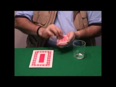 ESP Card Magic Vol.16 by Wild-Colombini Magic - DVD