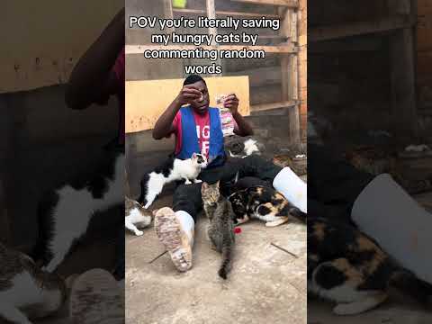 please don't sorcll my engagement is really low a simple hi will help our stray cats get food#fypop