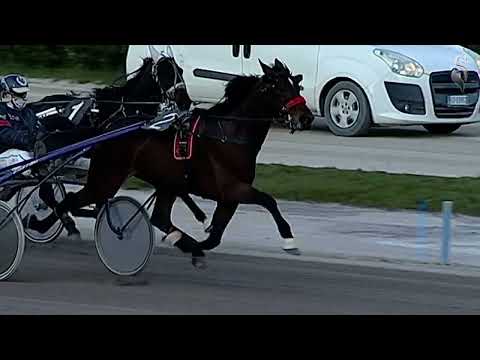 Aversa trotto 9 Marzo 2022 - 6° Corsa