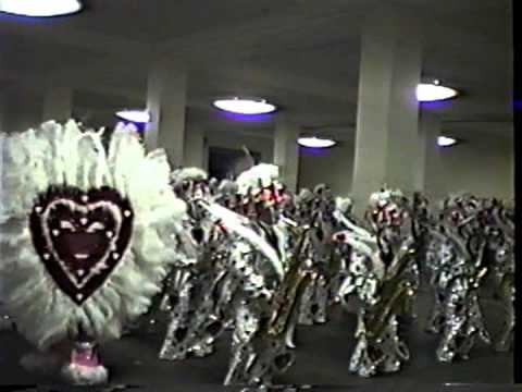 1992 Show of Shows Aqua String Band Aqua's Playing Their Hearts Out