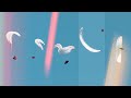 STAGE SIV - AIR DESIGN SOAR | DAVID EYRAUD (SAT, Décrochage, Vrille, Wing Over, 360...) | Parapente