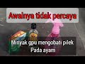 Cara Mudah Mengobati Penyakit Snot Dan CRD Dengan Minyak Urut GPU