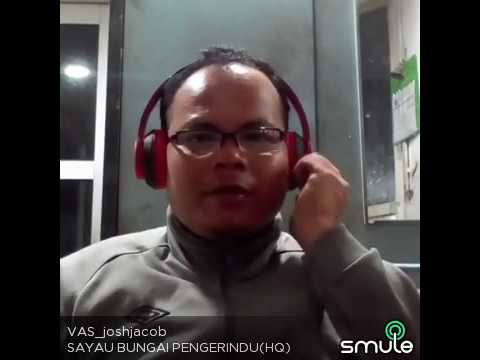 Best Iban smule,...sayau bungai pengerindu