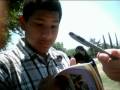 Kratt Reg 3