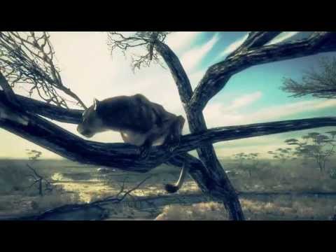 Cabela's Dangerous Hunts 2011 - Attract mode video