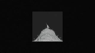 Cover art for 10,000 foes