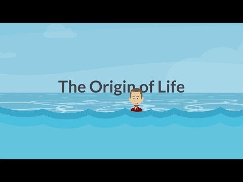 The Story of Life - Episode 2: From Chemicals to Cells
