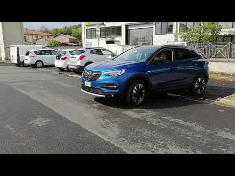 Grandland X - Park Assist